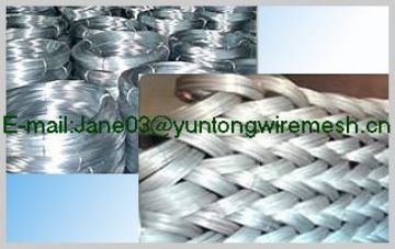 Supply：Galvanized Wire、Galvanized Iron Wire